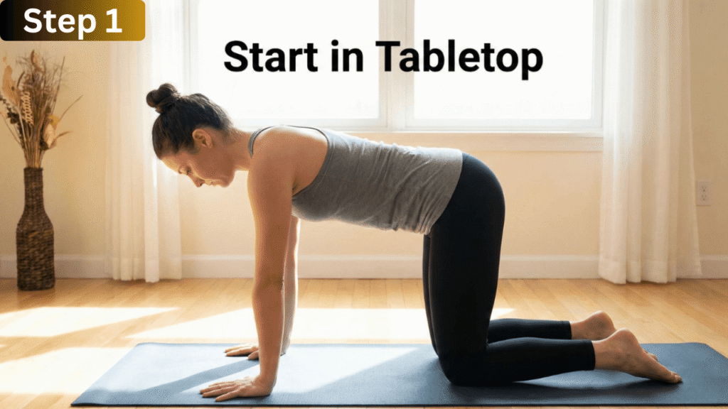 1.The Foundation (Tabletop)