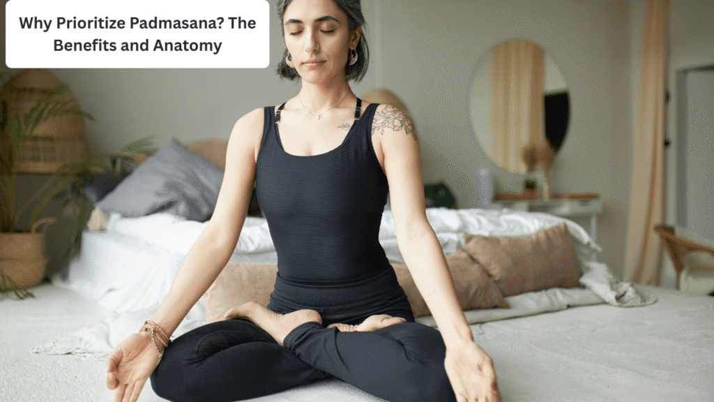 Why Prioritize Padmasana? The Benefits and Anatomy ( lotus pose )