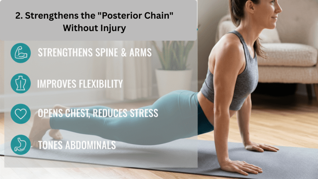 2. Strengthens the "Posterior Chain" Without Injury (Cobra Pose)