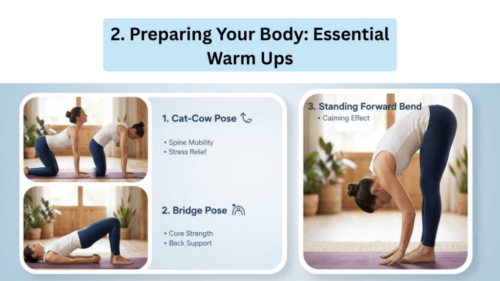 Essential Warm up poses for Plow pose 1.Cat-Cow Stretch: 2.Bridge Pose: 3.Forward Folds: